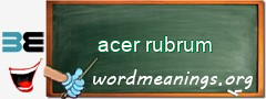 WordMeaning blackboard for acer rubrum